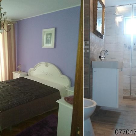 Pelican Proxy Apartment Oradea Exteriér fotografie