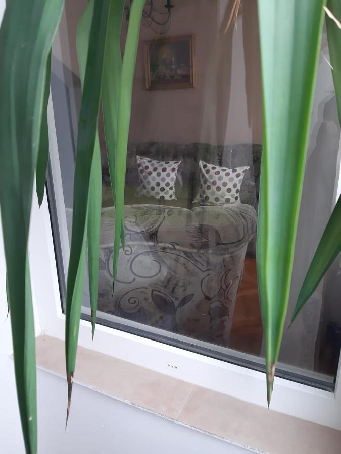Pelican Proxy Apartment Oradea Exteriér fotografie
